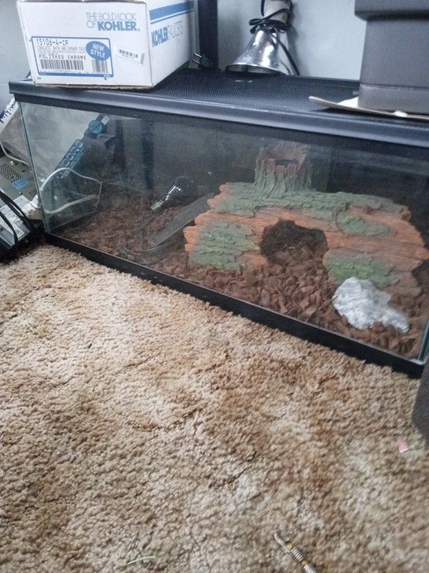 Reptile Aquarium Setup