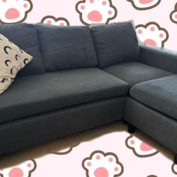 Sectional Sofa – Clean & Comfortable – Easy Pickup