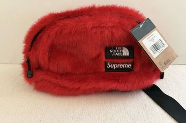 Supreme north face bag new