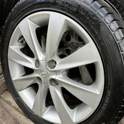 4- FORCEUM RADIAL SPORTS 