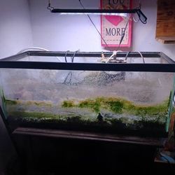 20 Gallon Long 