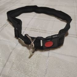 Dog Collar 