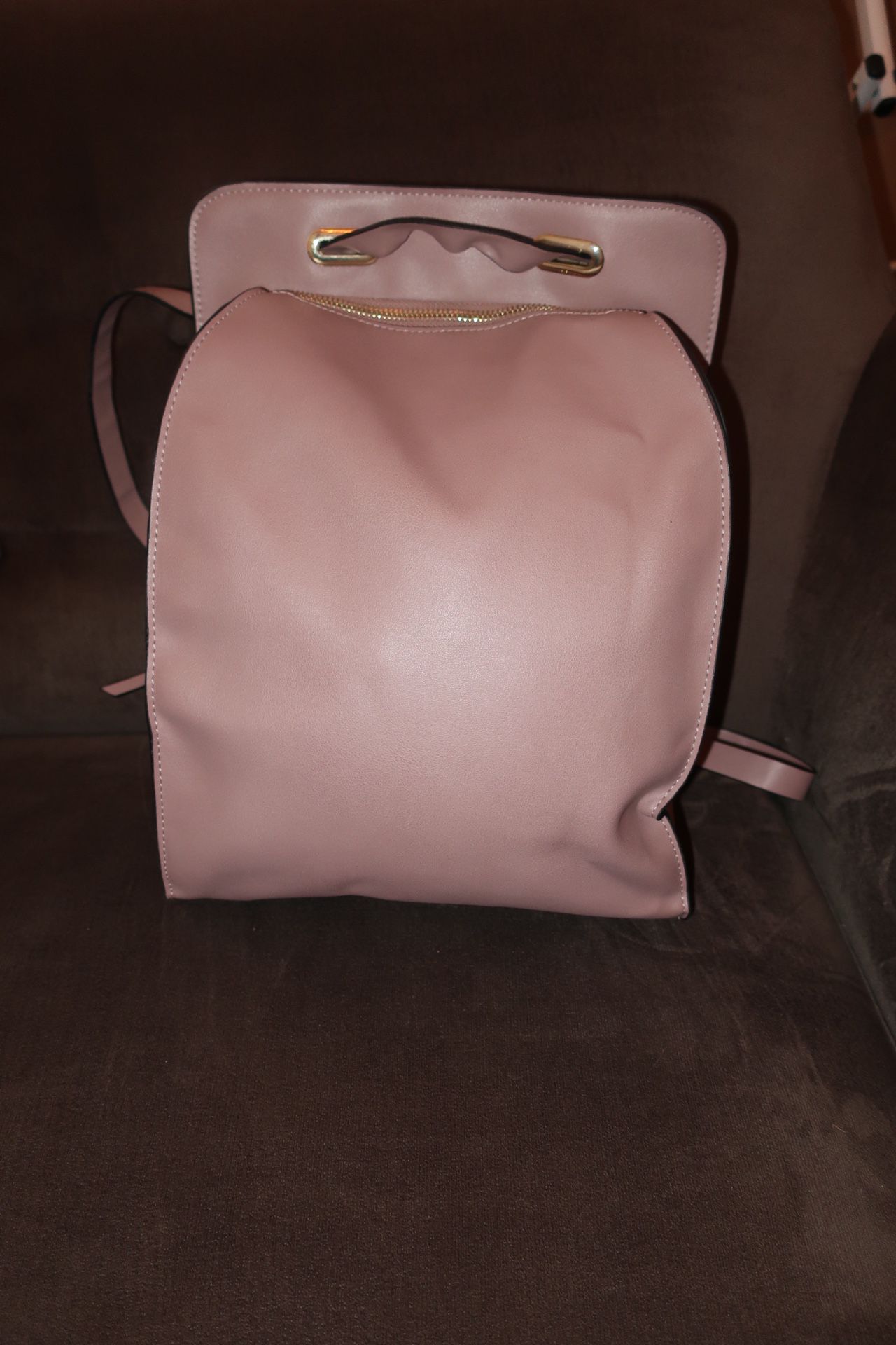 Lily and Ivy Backpack/Purse