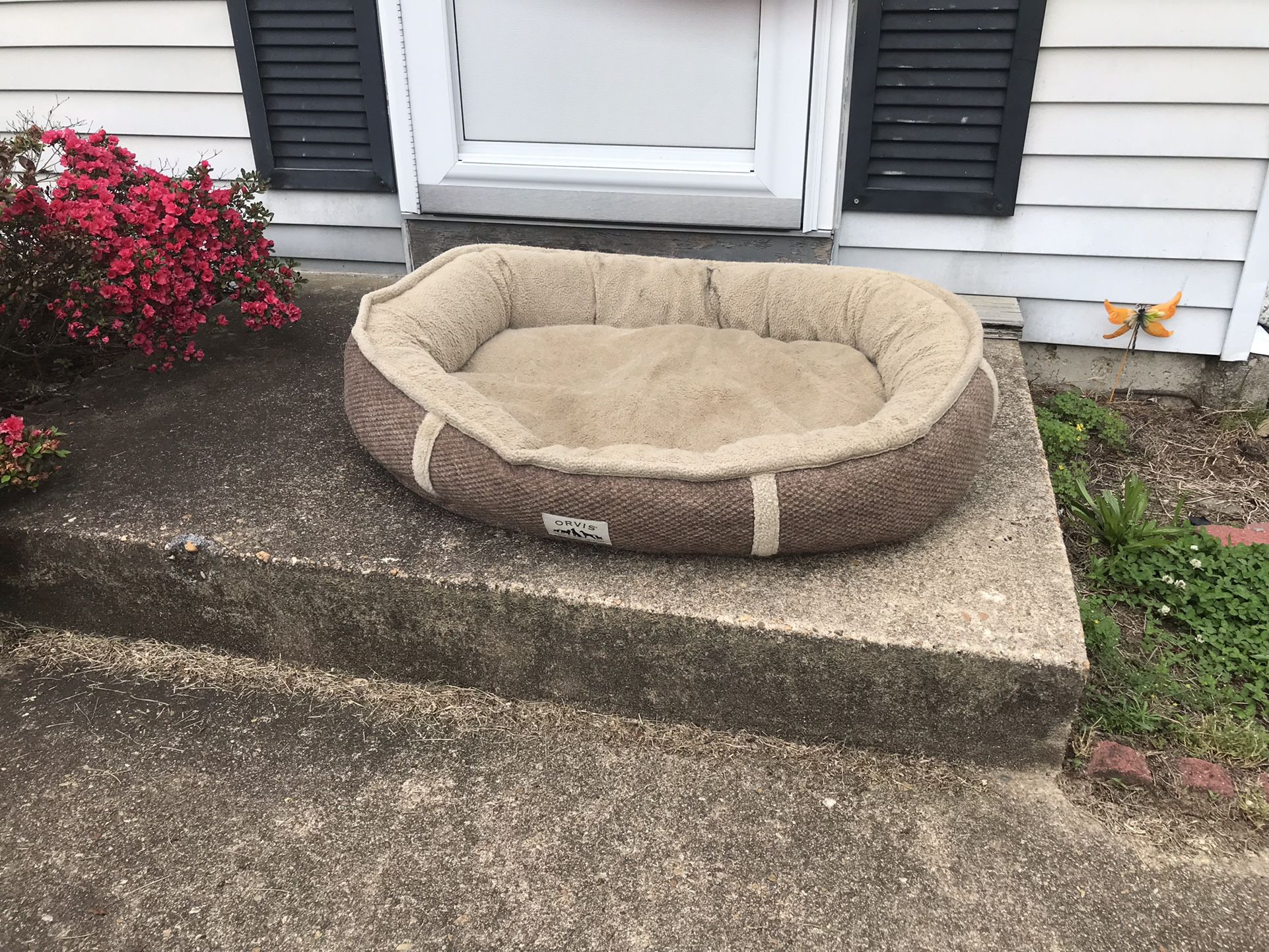 Nice Large High Quality pet bed only $20 firm