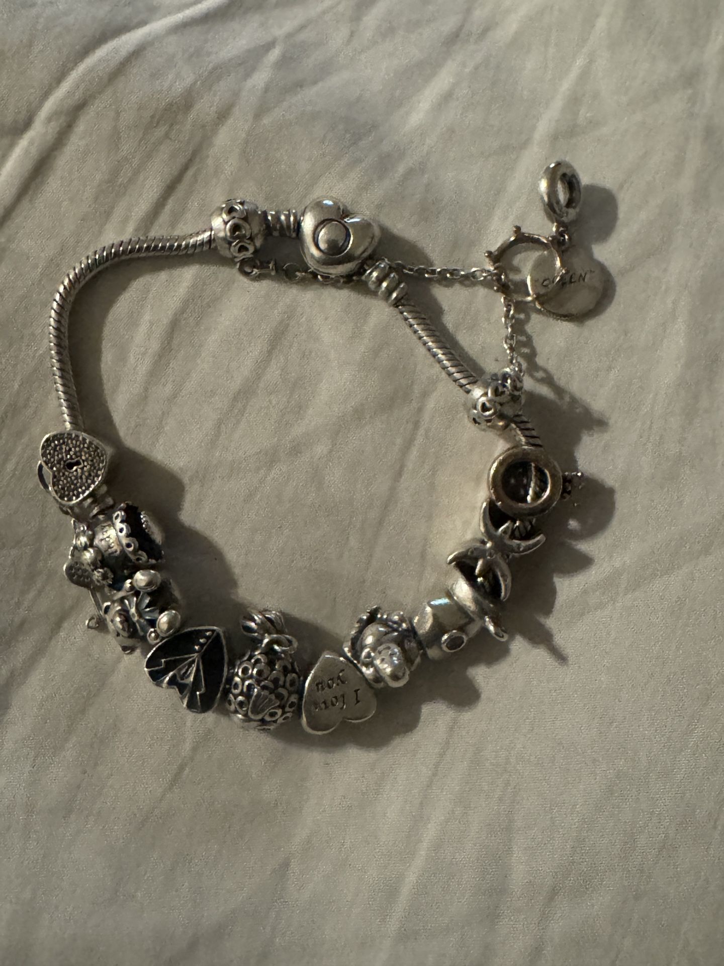 Pandora Bracelet And Charms