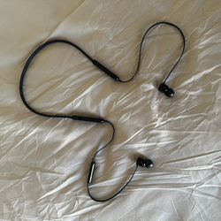 Beats Flex Wireless Headphones
