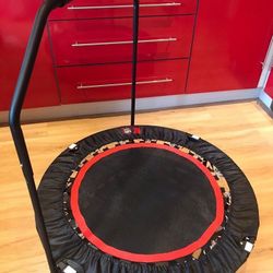 🔥URBAN REBOUNDER🔥Excellent, Like New!🔥Only $49🔥Easy Meetup at Mothers Market 92627🔥