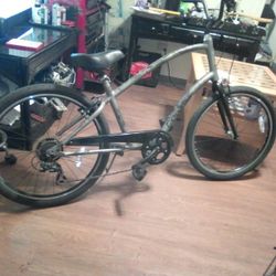 Electra Townie Custom Paint Job