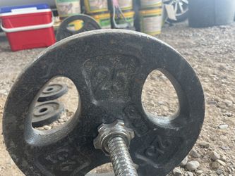 Exercise Bench