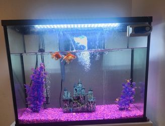 37 Gallon Fish Tank