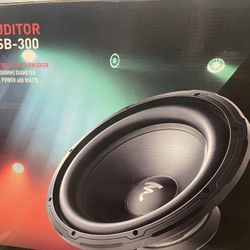 12” Focal  Subwoofer 🔊 