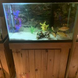 29 Gallon Tank and Wooden Stand