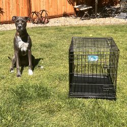 Small Dog Kennel And Bedding