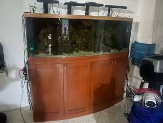 Big Aquarium 125 gallons