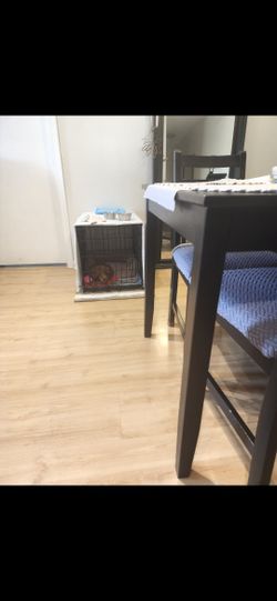 Folding Dog Crate