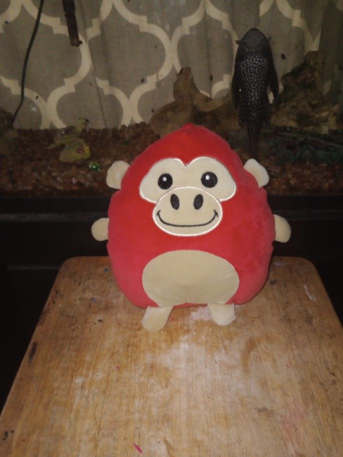 Cute Red Monkey