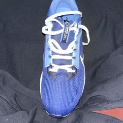 Nike Pegasus 40