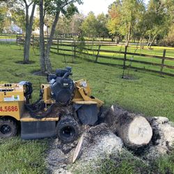 Stump Grinding.  Good Prices