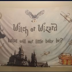 Gender Reveal 
