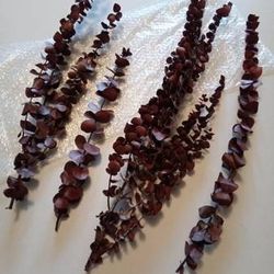 Floral and Decorative Stems