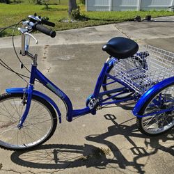 Adult Tricycle