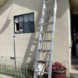 Ladder