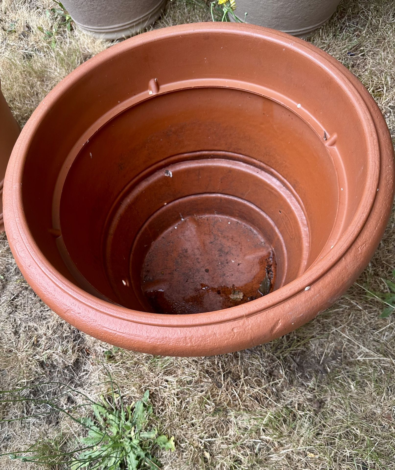 Plant pots