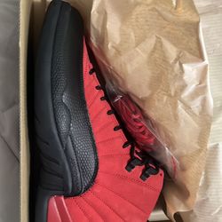 Retro DS Air Jordan 12 Size 10