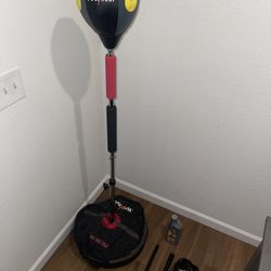 Punching Bag Cobra Reflex Advanced