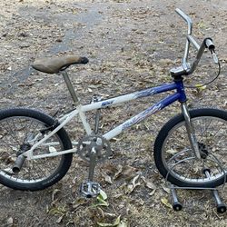Robinson Racing SST 20” BMX Bike 