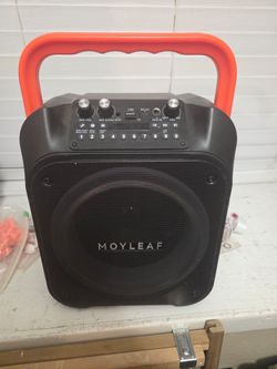 Moyleaf Portable karaoke machine