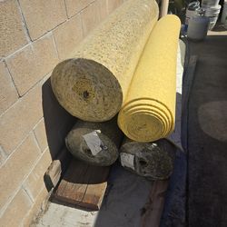 Sponge for carpet use