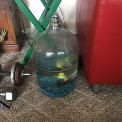 Antique glass bottle fish tank