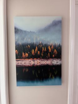 Canvas Print 2'x3' Wall Art  Forest Lake