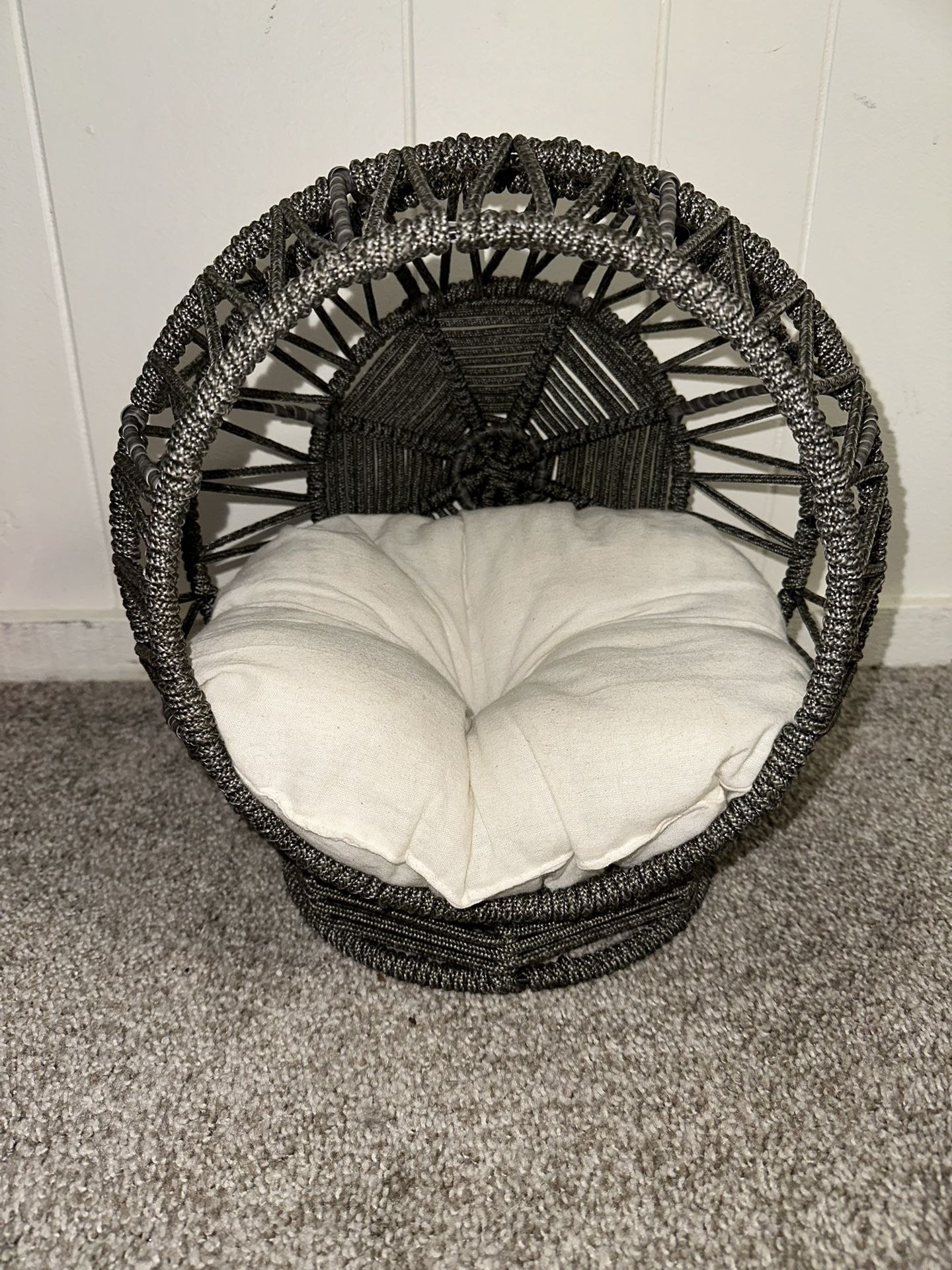 Cat Or Dog House