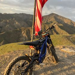 2024 Surron Light Bee X