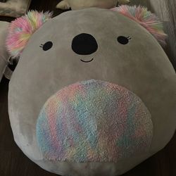 Rainbow Koala Squishmallow