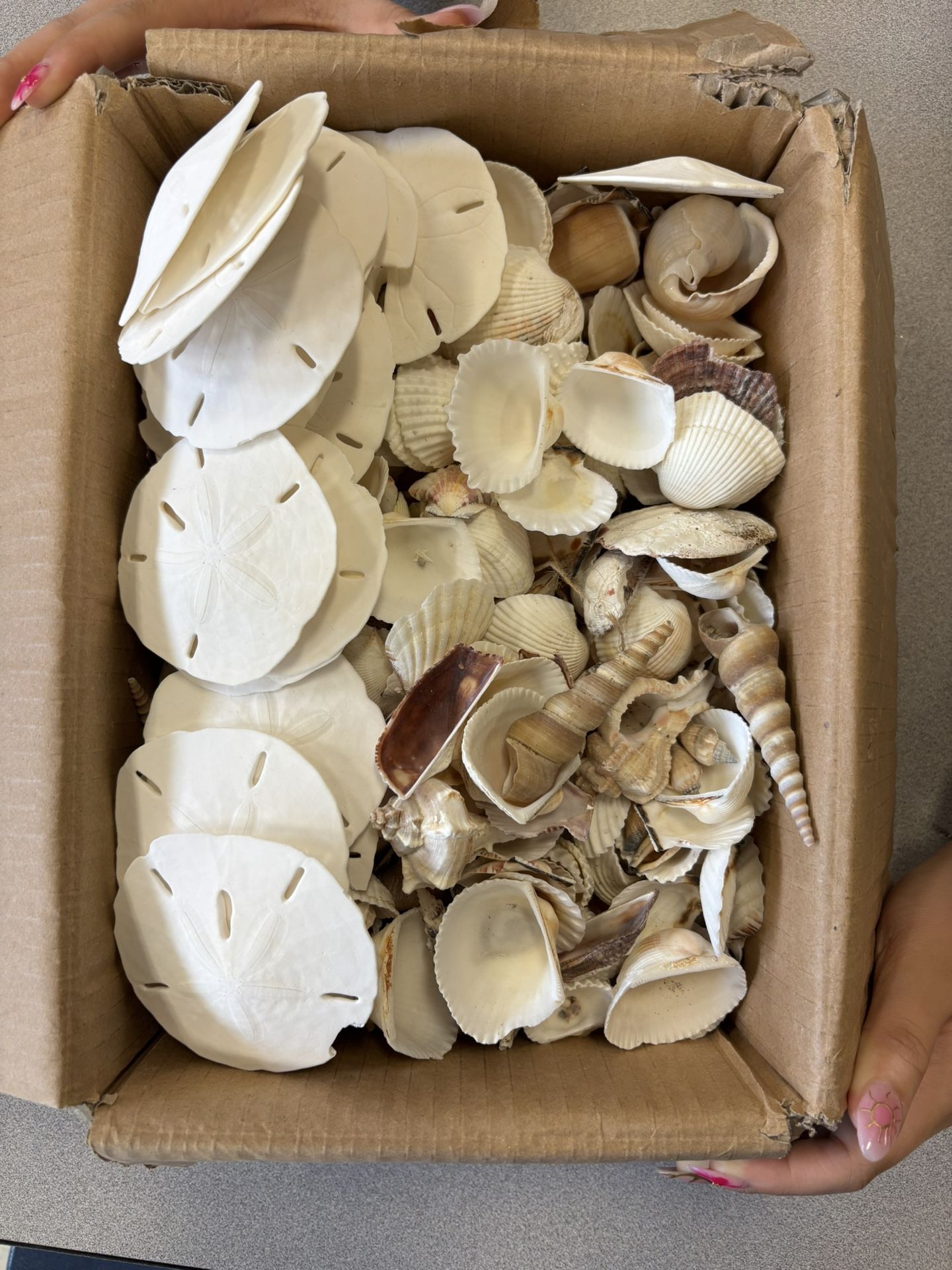 box of seashells