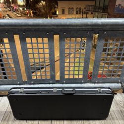 Road Runner guitar case