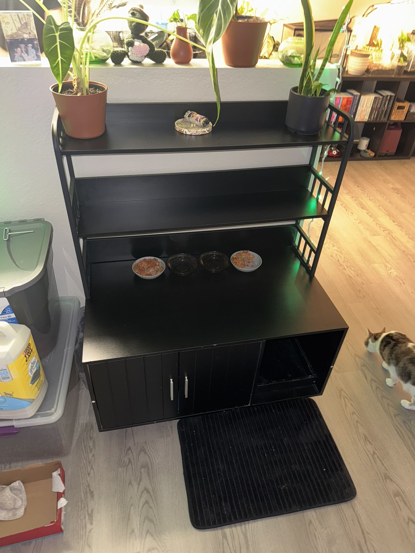 Cat Litter Box Enclosure 