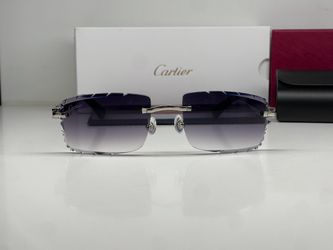 Black Cartier Buffalo Horn Sunglasses Silver Glasses