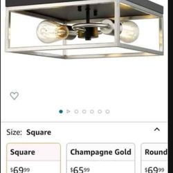 New light fixtures $30