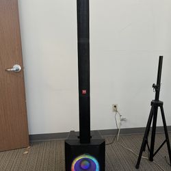 Professional Active Speaker