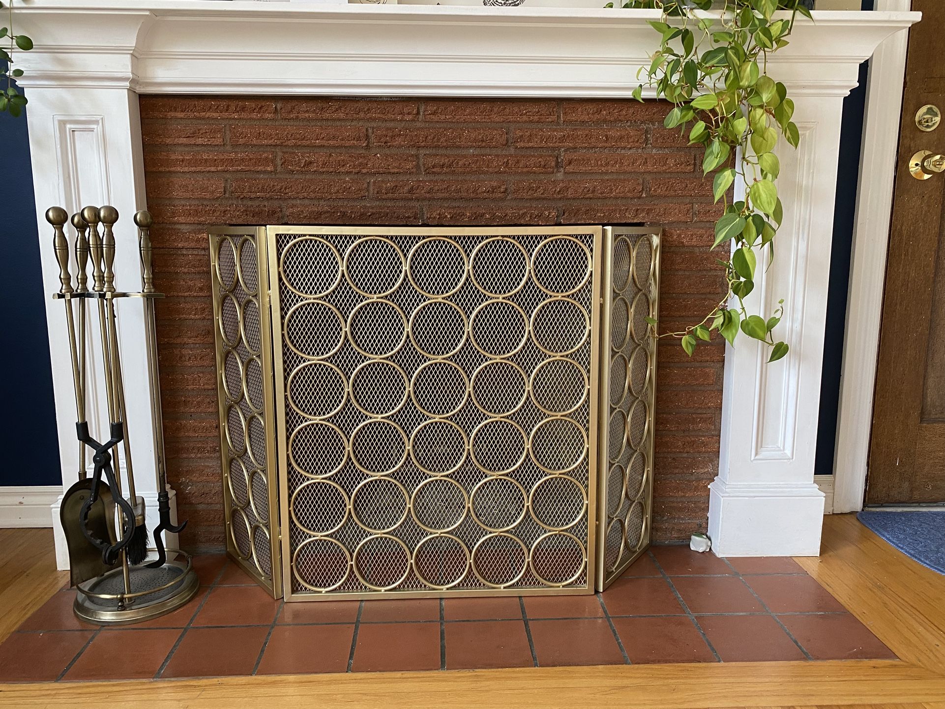 Flawless Fireplace Screen