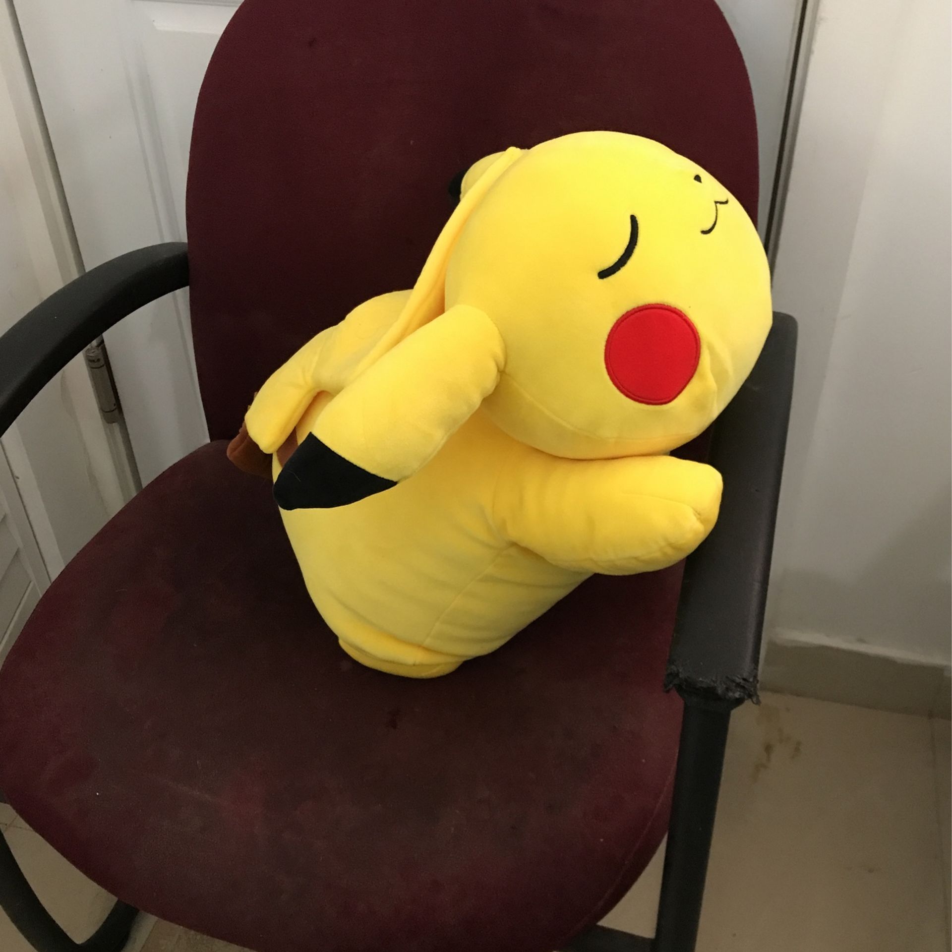 Pikachu Sleeping