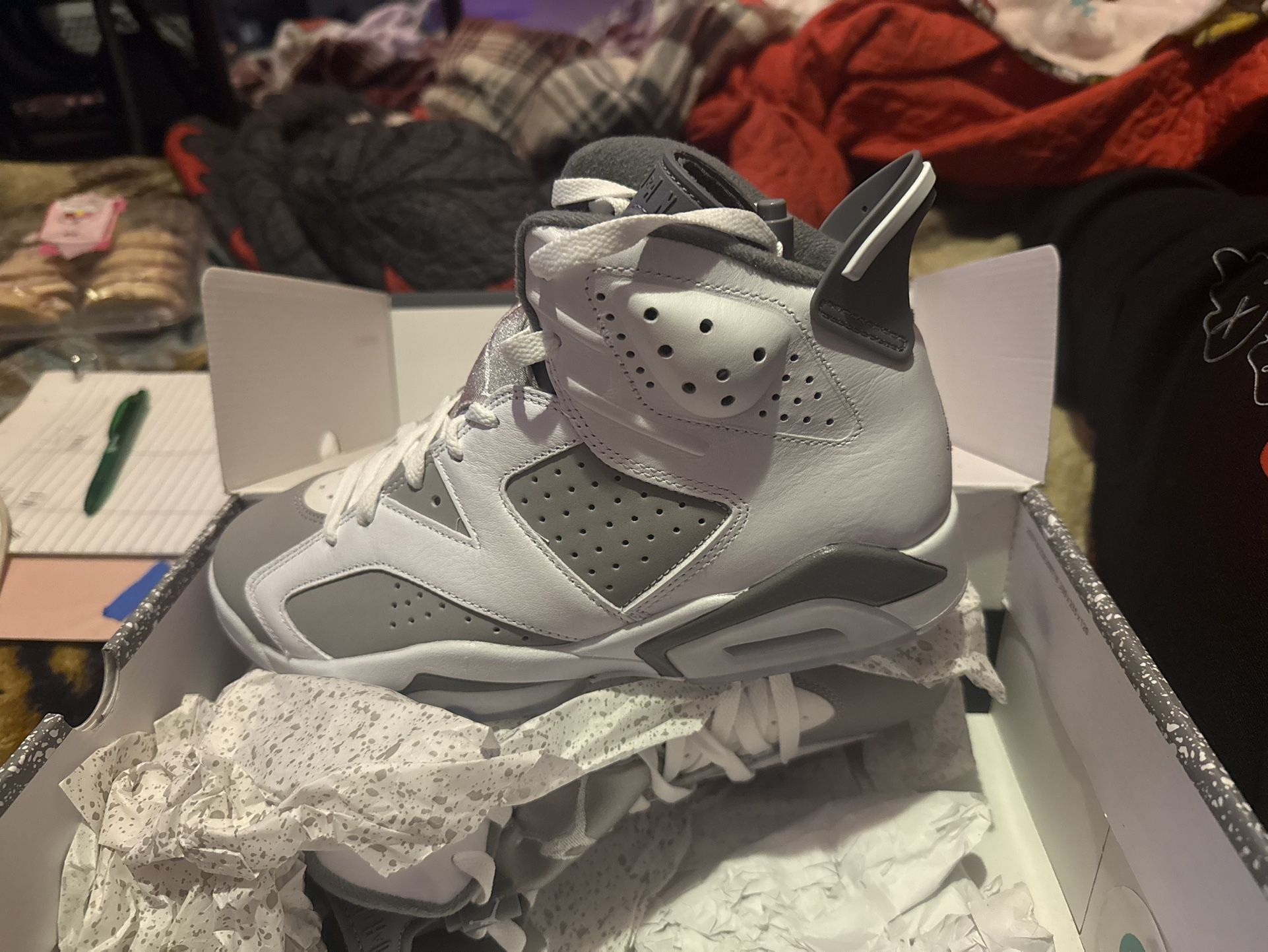'Cool Grey' Jordan 6 Retro BRAND NEW Sz 7.5