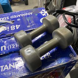 Dumbbells- 9lb Each 