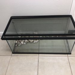 Aquarium 