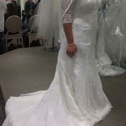 David's bridal 3/4 sleeve all over lace trumpet wedding dress an mid length lace veil 