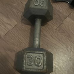 30 Pound Dumbbell 
